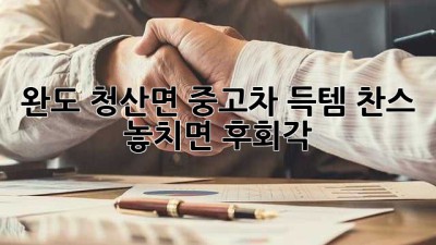 완도 청산면 중고차 득템 찬스! 놓치면 후회각 💯